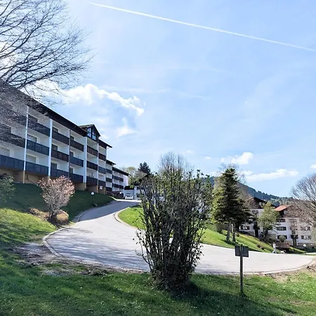 アパート Alpennest Mit Pool Und Sauna, Direkt Am Skihang ミッセン・ヴィルハムス